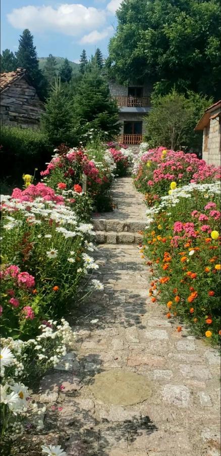Bujtina Shkodrani Bed & Breakfast Voskopojë Dış mekan fotoğraf